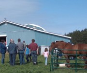 Open Farm Day 2007 & Older