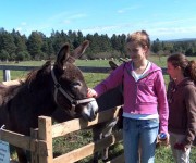 Open Farm Day 2008 – 2009