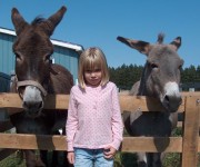 Open Farm Day 2008 – 2009