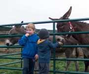 Open Farm Day 2008 – 2009