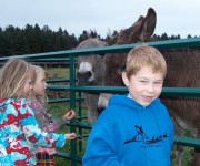 Open Farm Day 2008 – 2009