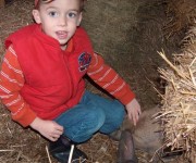 Open Farm Day 2008 – 2009