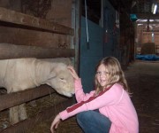 Open Farm Day 2008 – 2009