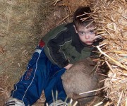 Open Farm Day 2008 – 2009